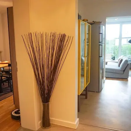 Pet-friendly Modern Loft With An Amazing Garden Apartment