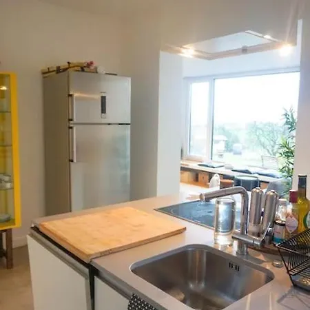 Pet-friendly Modern Loft With An Amazing Garden *